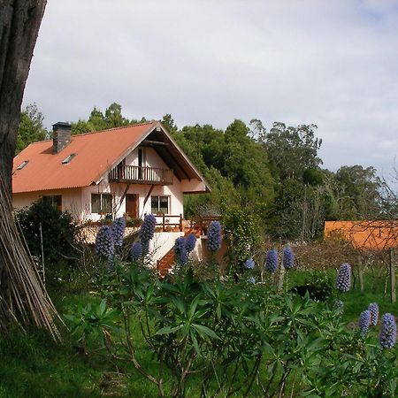 Bio Quinta Do Pantano, Agro Turismo Villa Santo Antonio da Serra Kültér fotó