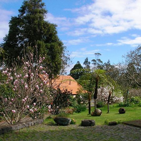 Bio Quinta Do Pantano, Agro Turismo Villa Santo Antonio da Serra Kültér fotó