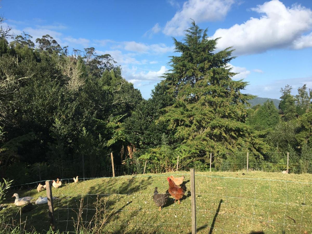 Bio Quinta Do Pantano, Agro Turismo Villa Santo Antonio da Serra Kültér fotó