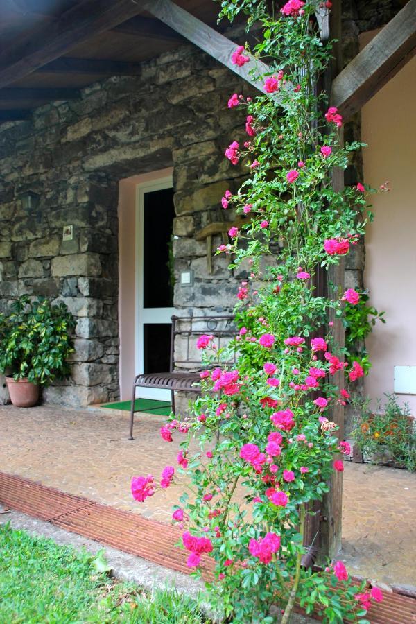 Bio Quinta Do Pantano, Agro Turismo Villa Santo Antonio da Serra Kültér fotó