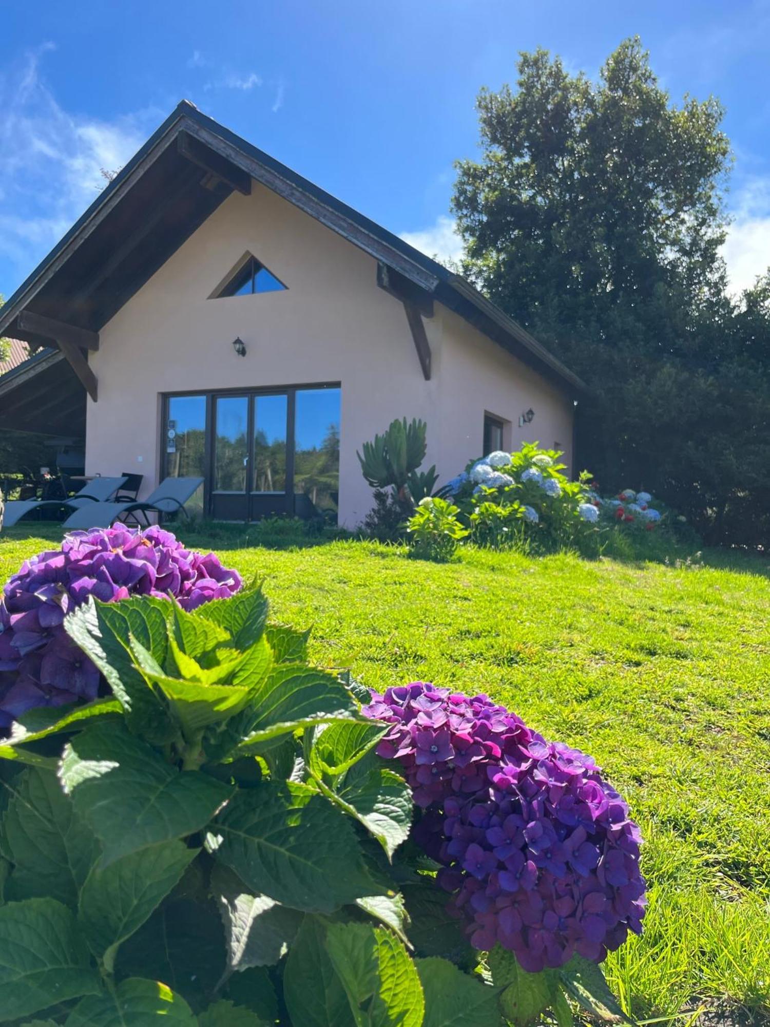 Bio Quinta Do Pantano, Agro Turismo Villa Santo Antonio da Serra Kültér fotó