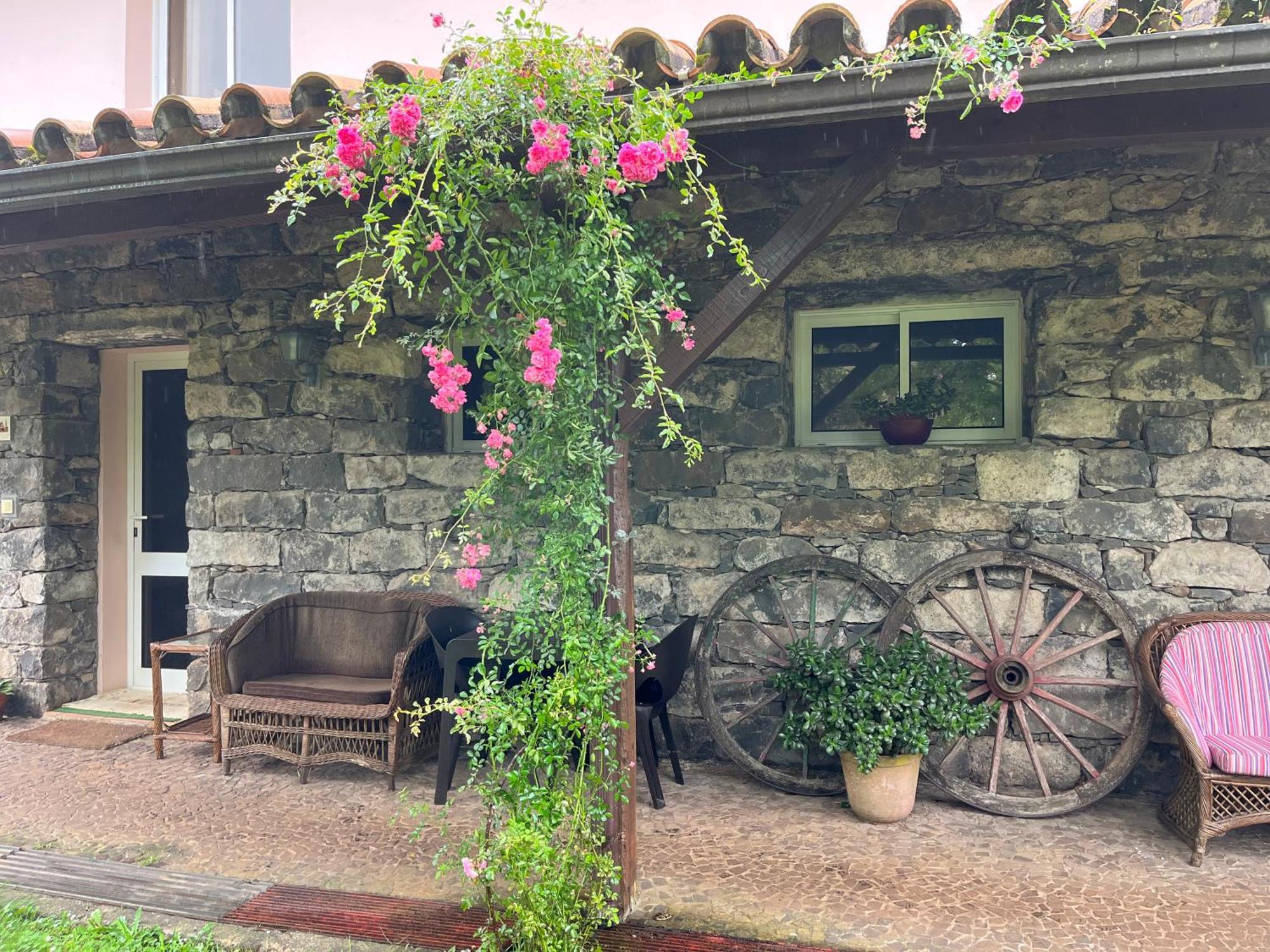 Bio Quinta Do Pantano, Agro Turismo Villa Santo Antonio da Serra Kültér fotó