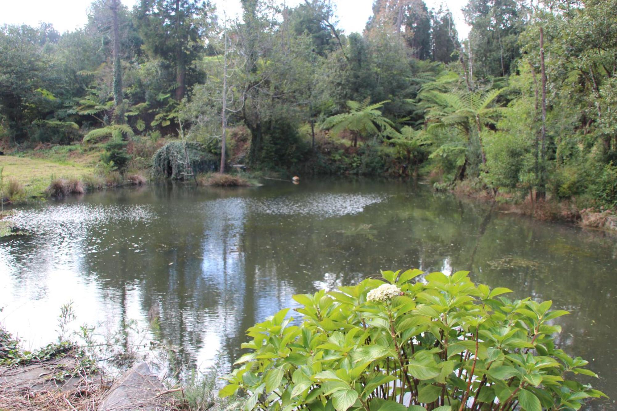 Bio Quinta Do Pantano, Agro Turismo Villa Santo Antonio da Serra Kültér fotó