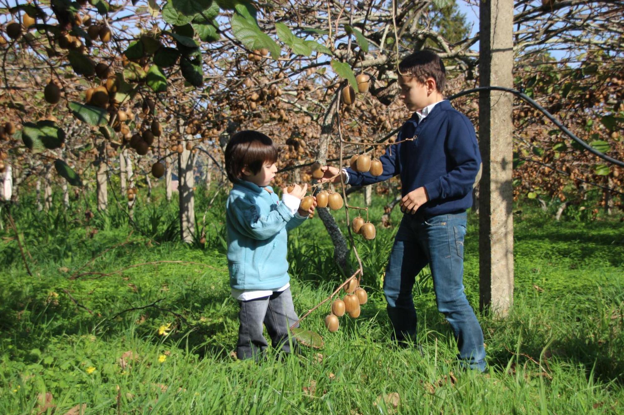 Bio Quinta Do Pantano, Agro Turismo Villa Santo Antonio da Serra Kültér fotó