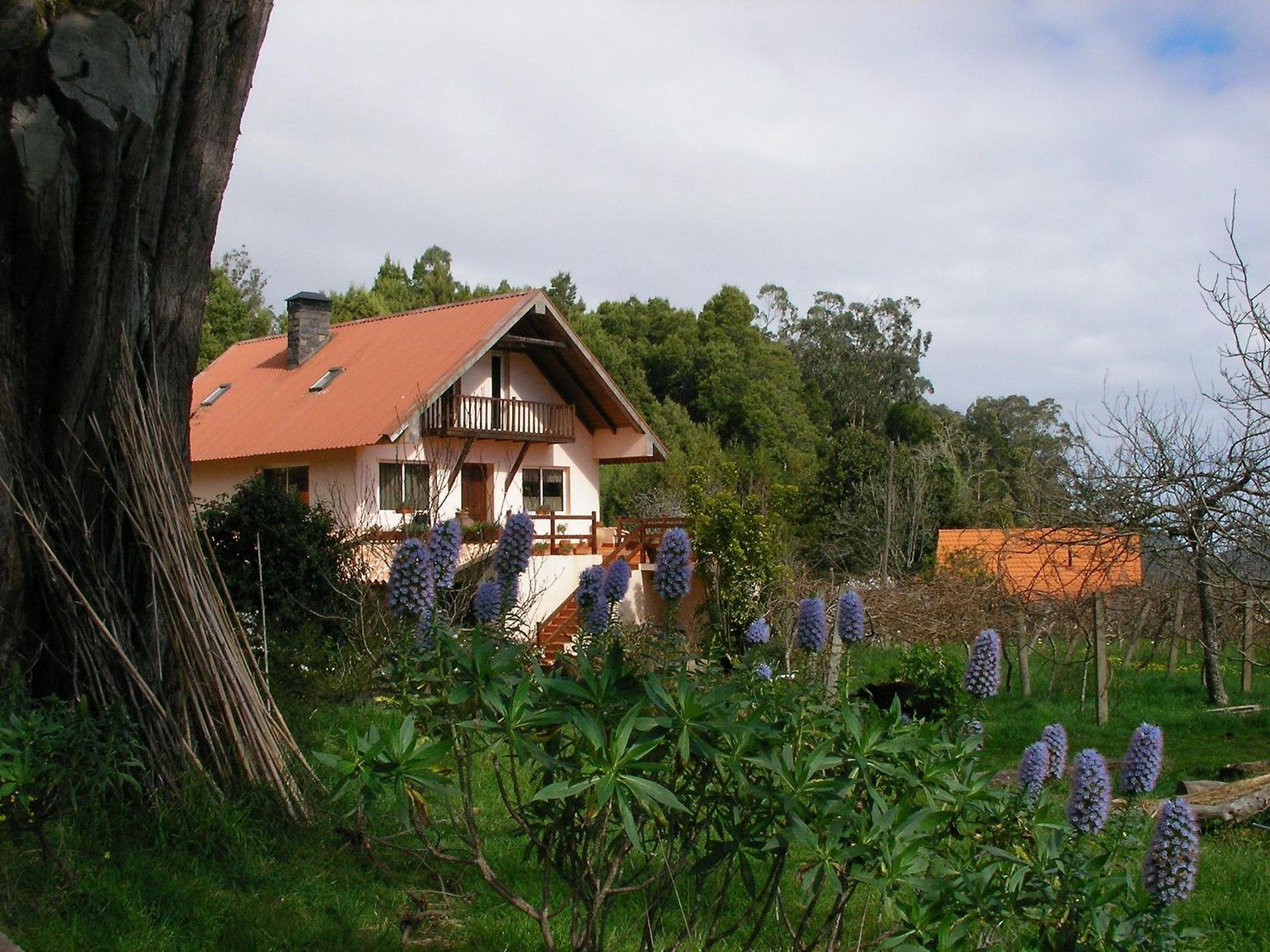 Bio Quinta Do Pantano, Agro Turismo Villa Santo Antonio da Serra Kültér fotó