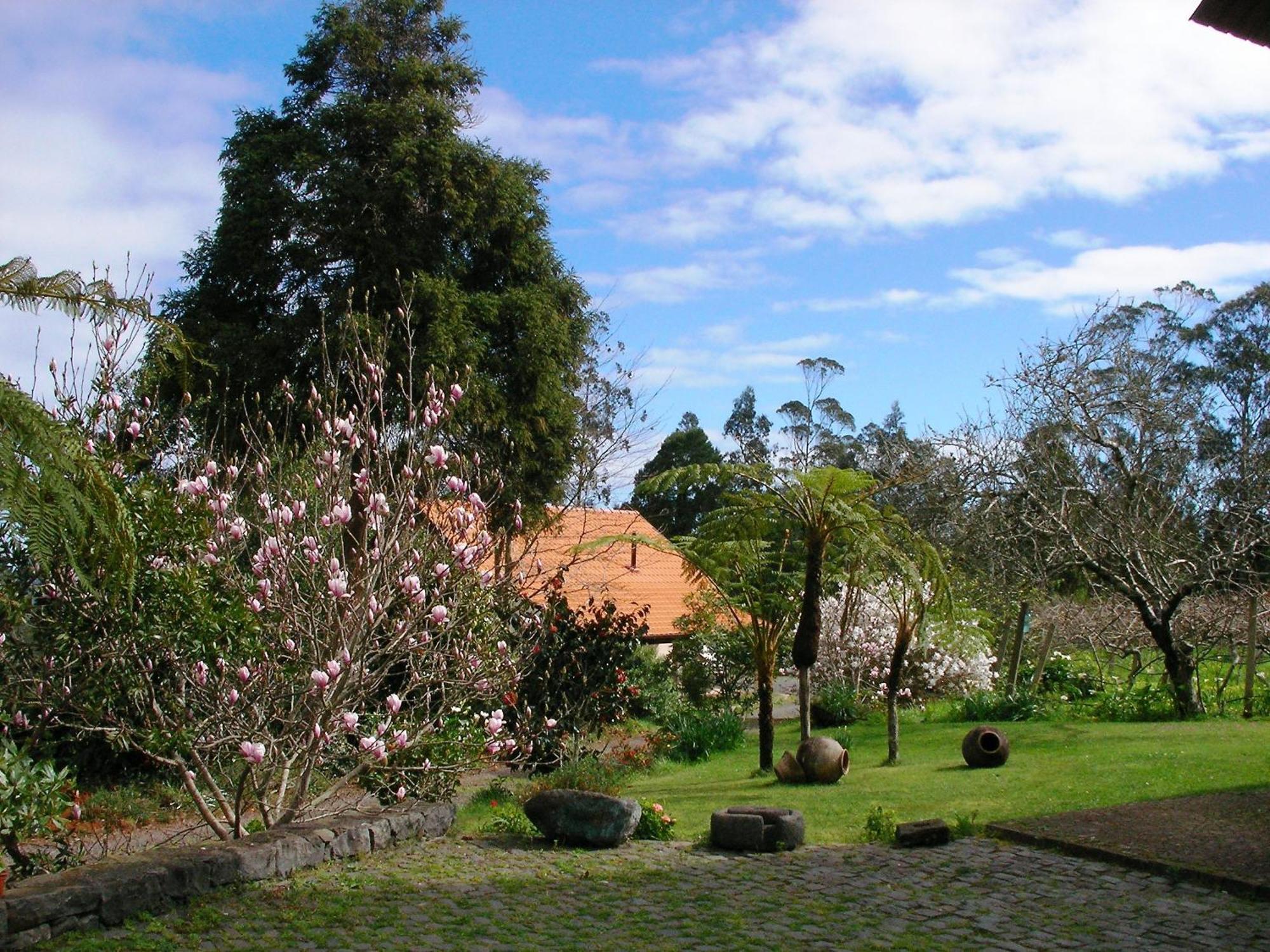 Bio Quinta Do Pantano, Agro Turismo Villa Santo Antonio da Serra Kültér fotó
