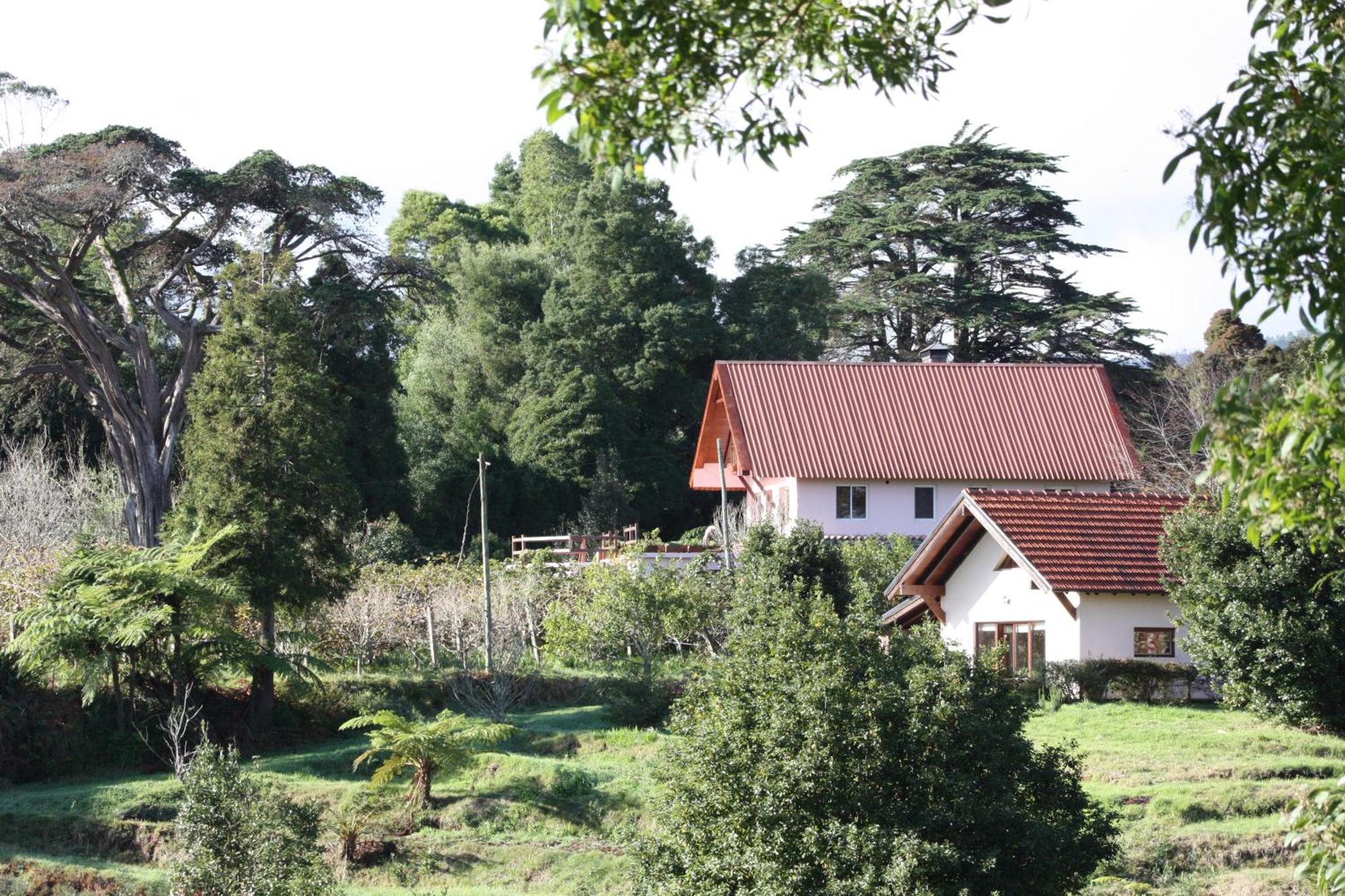Bio Quinta Do Pantano, Agro Turismo Villa Santo Antonio da Serra Kültér fotó