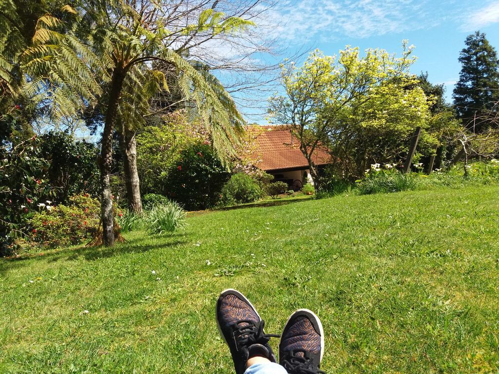 Bio Quinta Do Pantano, Agro Turismo Villa Santo Antonio da Serra Kültér fotó